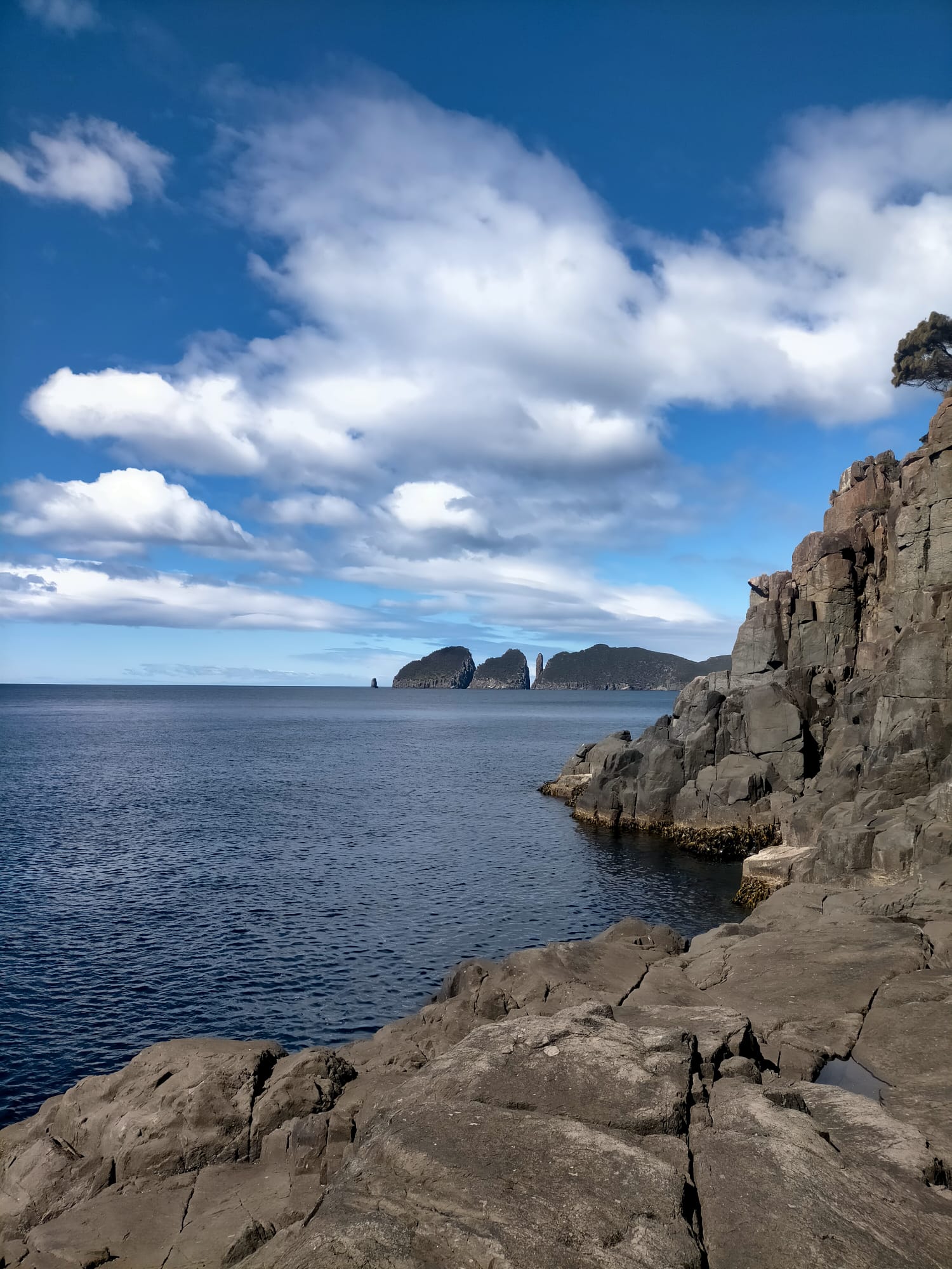 tasm-moai-candlestick